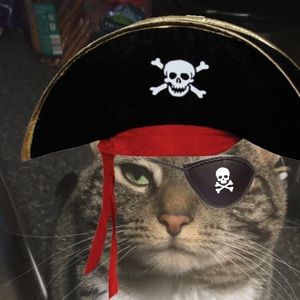 Meet your Posher, Jeff